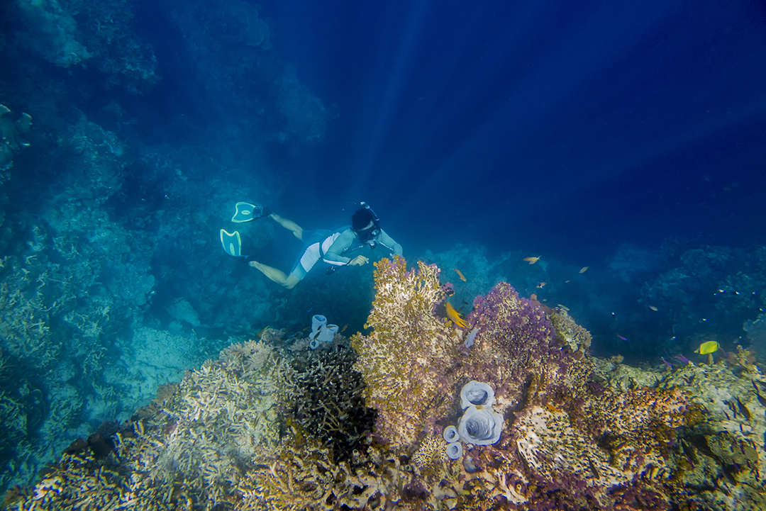 5 Destinasi Traveling Bareng Pasangan Kamu Di Indonesia, Seru !
