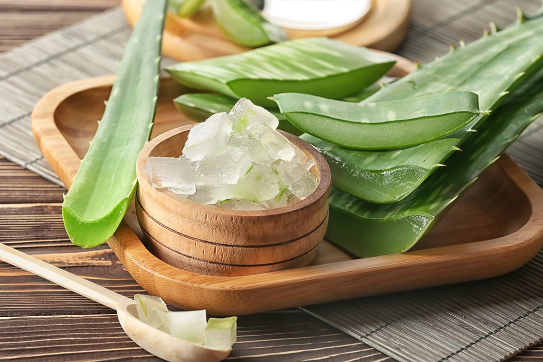 Aloe Vera: Si Runcing Yang Bisa Bikin Awet Muda