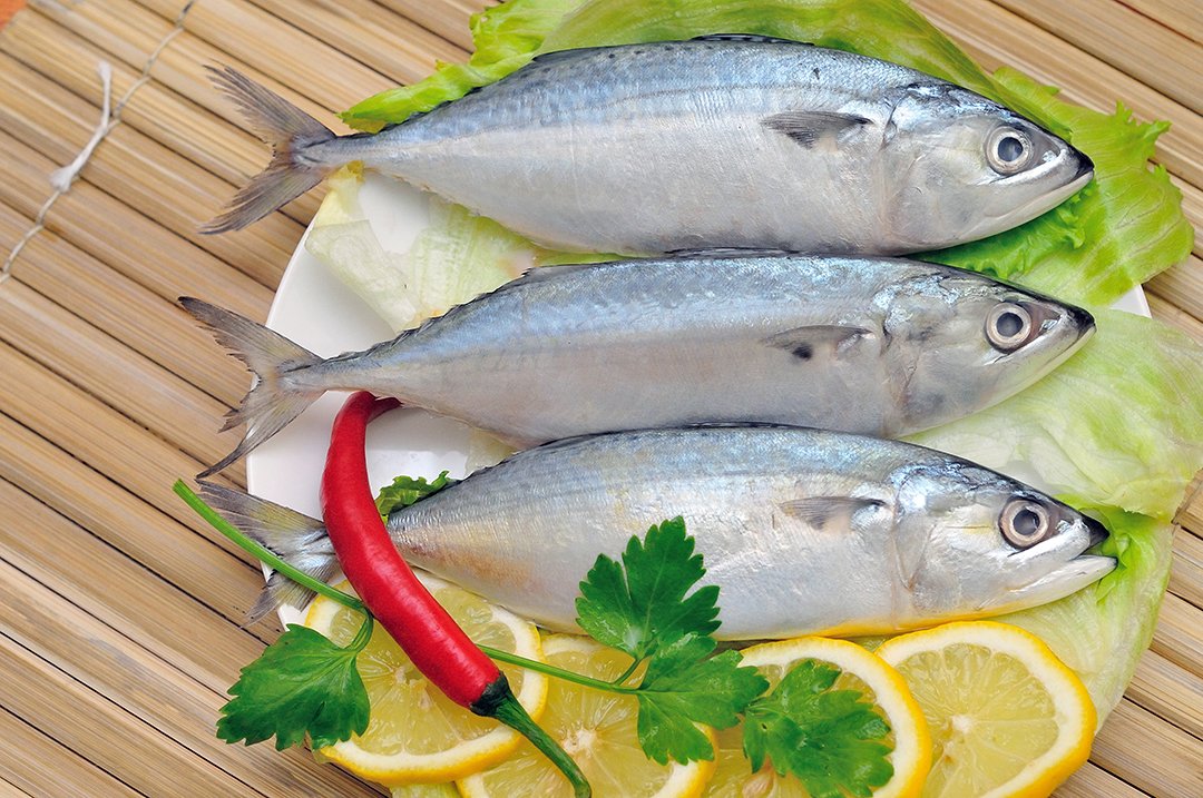 Ikan Kembung Ternyata Lebih Sehat Dari Salmon. Ini Faktanya!