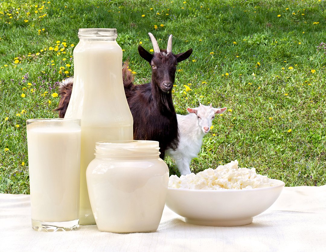 Selain Susu Sapi, Ini Ragam Susu dan Nutrisinya