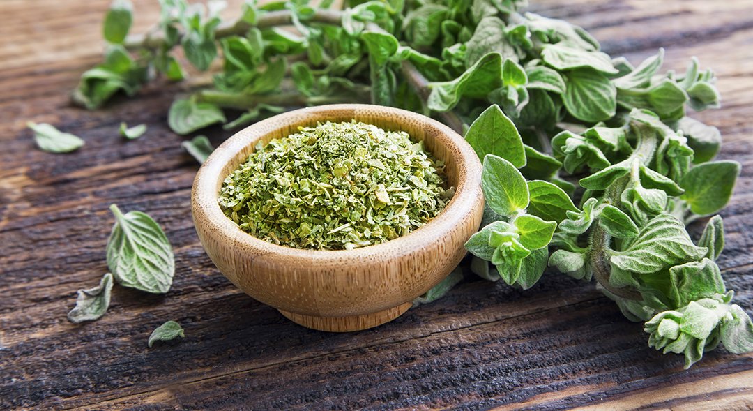 Oregano Nggak Cuma Bikin Wangi Pasta, Ini Manfaatnya