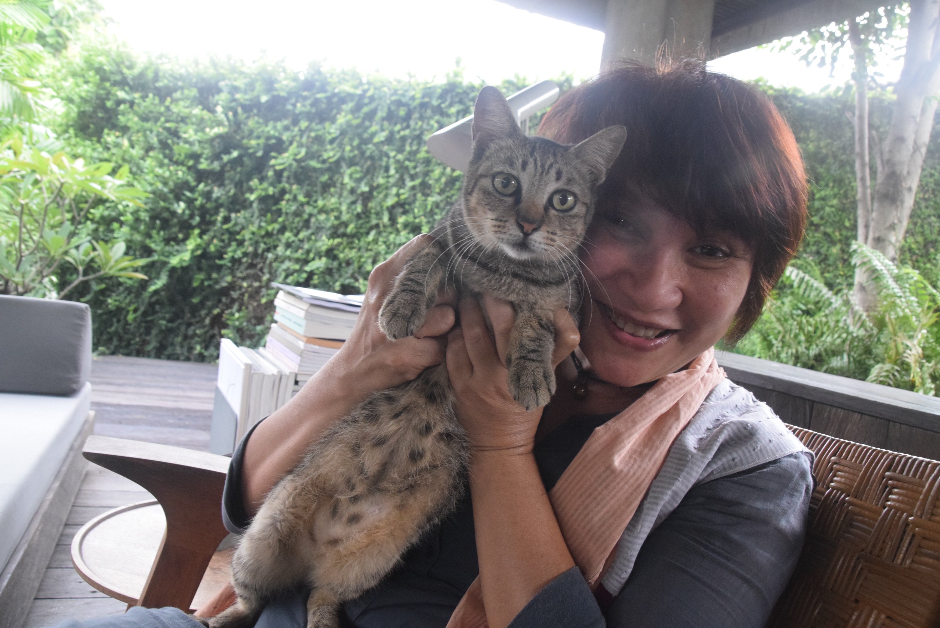 Dite Matin, Arsitek yang Sebagian Hidupnya Untuk Kebahagiaan Kucing