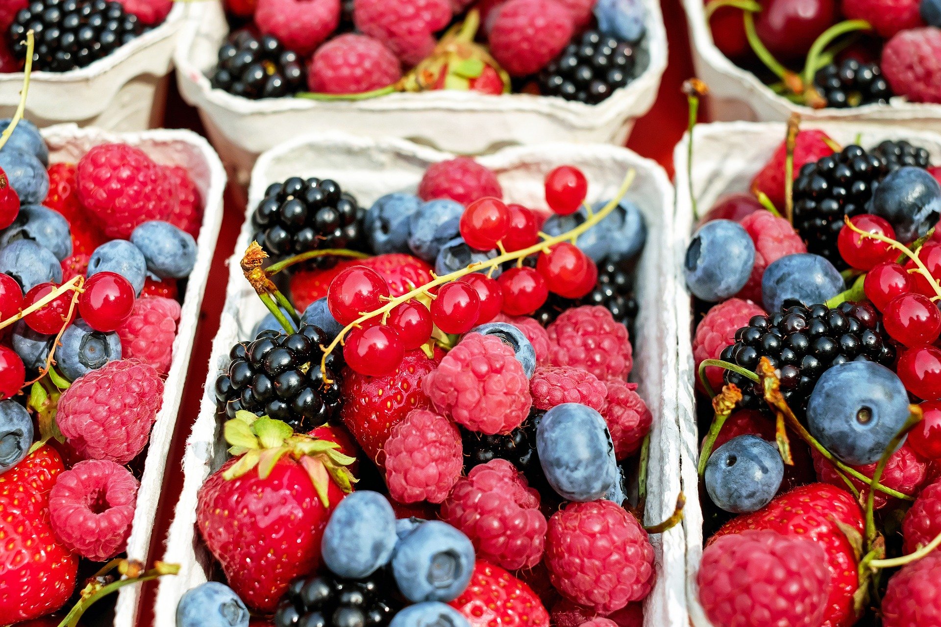 Termasuk Superfruit, Ini Jenis- Jenis Berry dan Manfaatnya