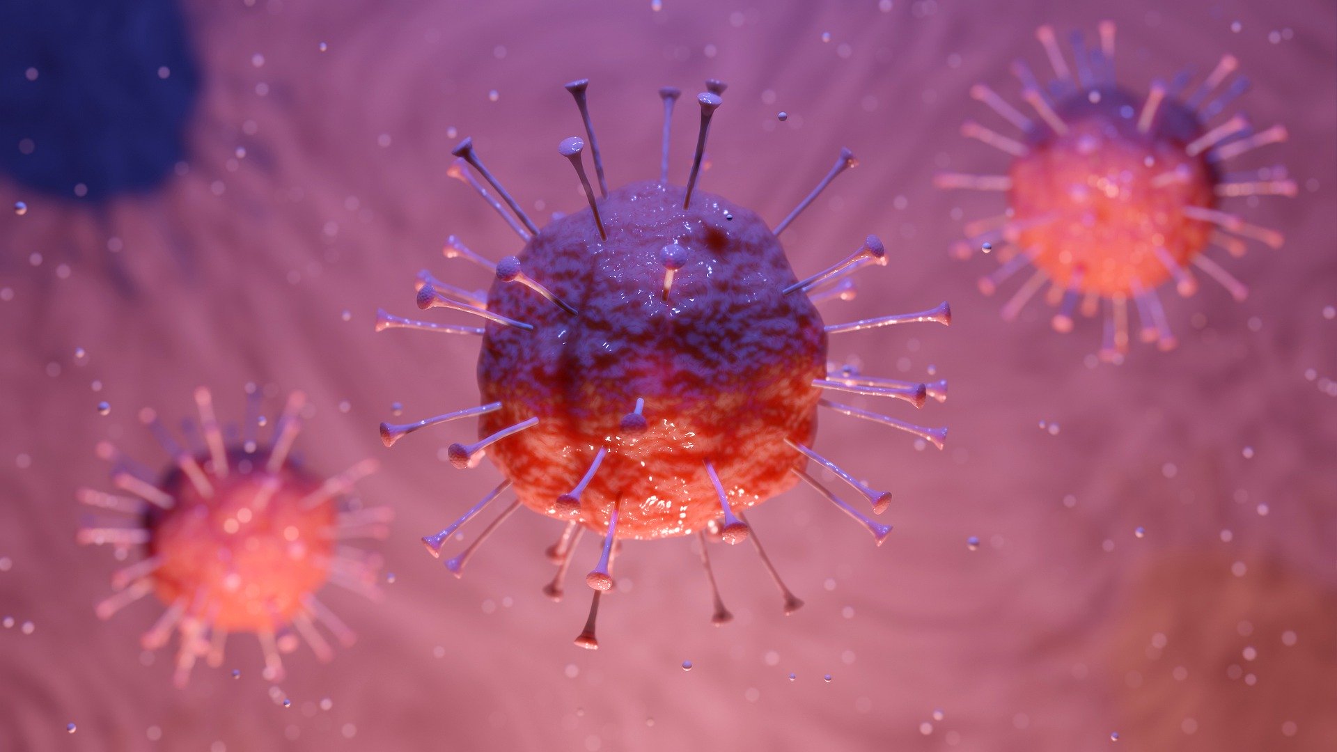 Cegah Virus Dengan Jaga Imunitas. Ini Tipsnya