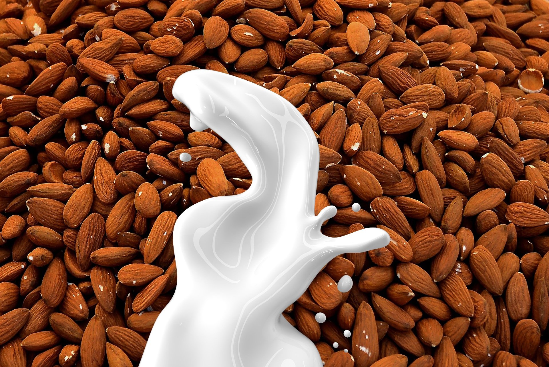 Manfaat Susu Almond Untuk Kesehatan dan Tips Memilih Produk Yang Baik